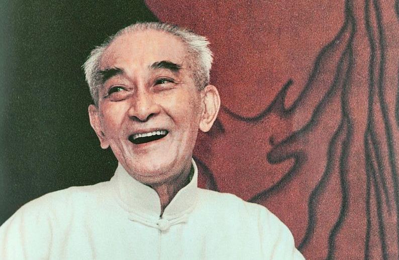 王苗给南怀瑾老师拍的照片集锦